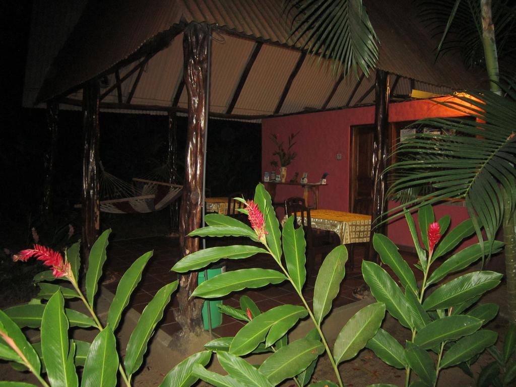 Hotel El Paraiso Escondido - Costa Rica Jacó Exterior foto