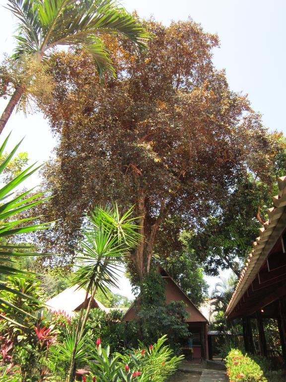 Hotel El Paraiso Escondido - Costa Rica Jacó Cameră foto